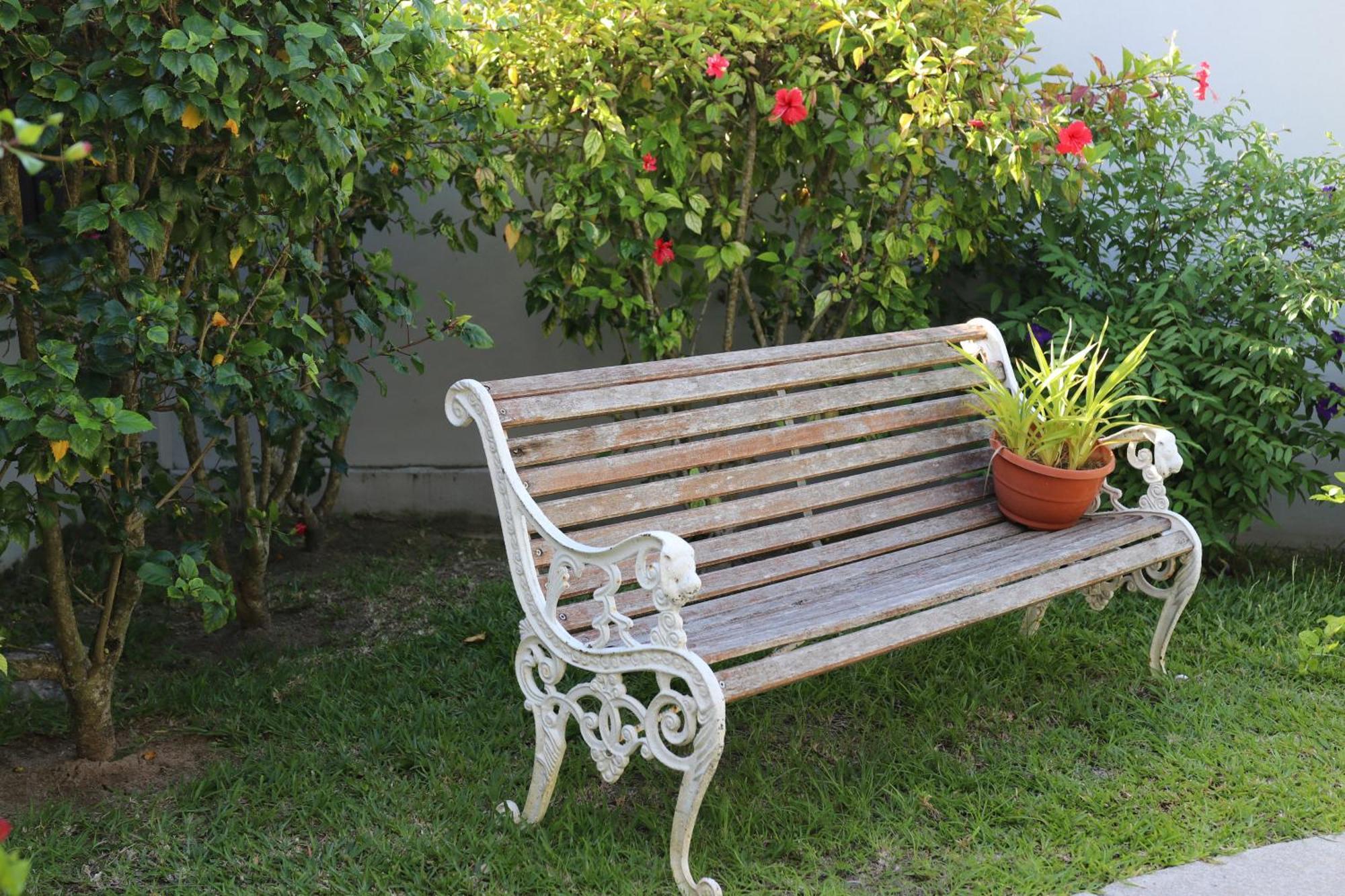 Hotel La Roussette Anse aux Pins Zewnętrze zdjęcie