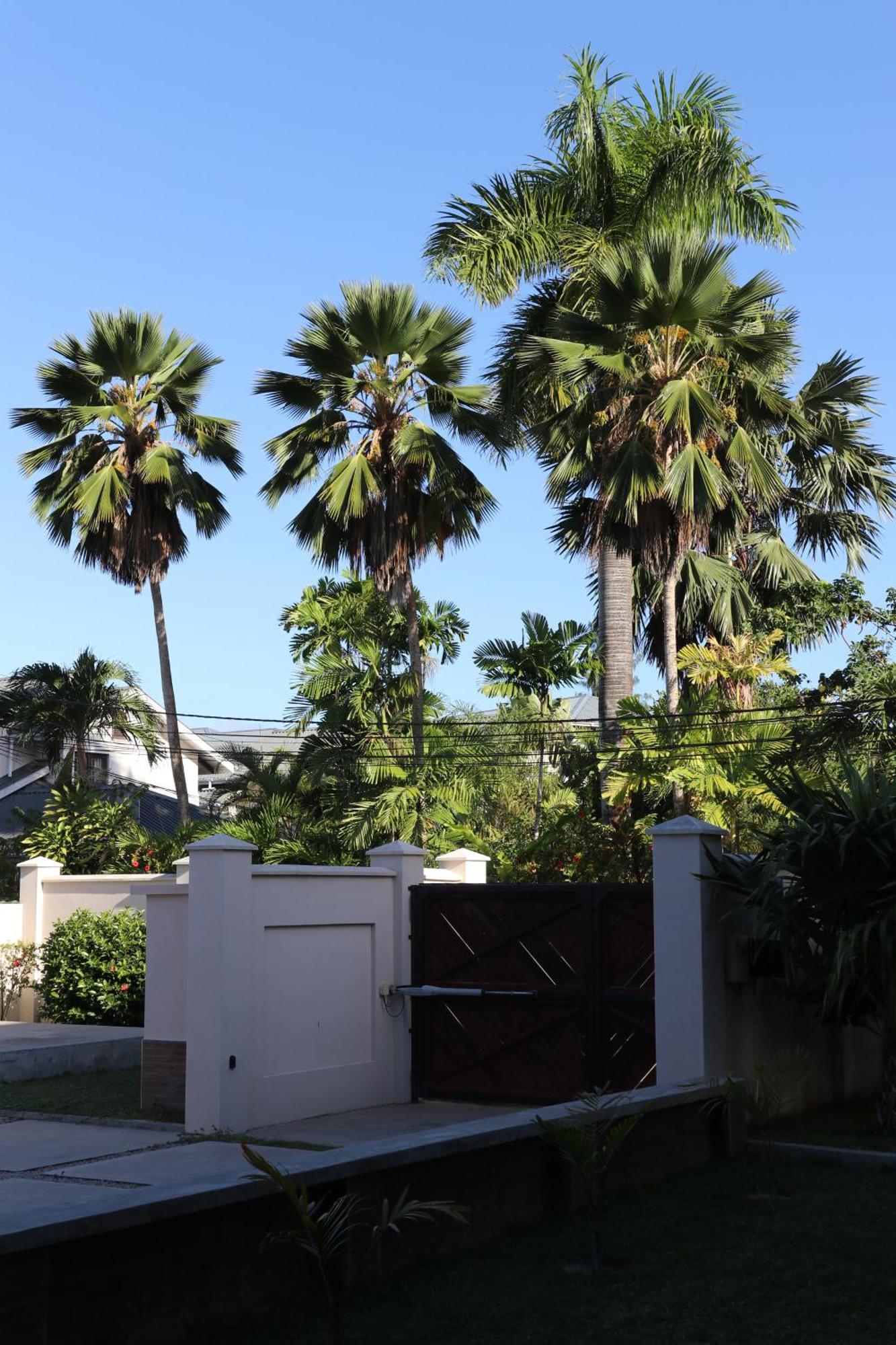 Hotel La Roussette Anse aux Pins Zewnętrze zdjęcie